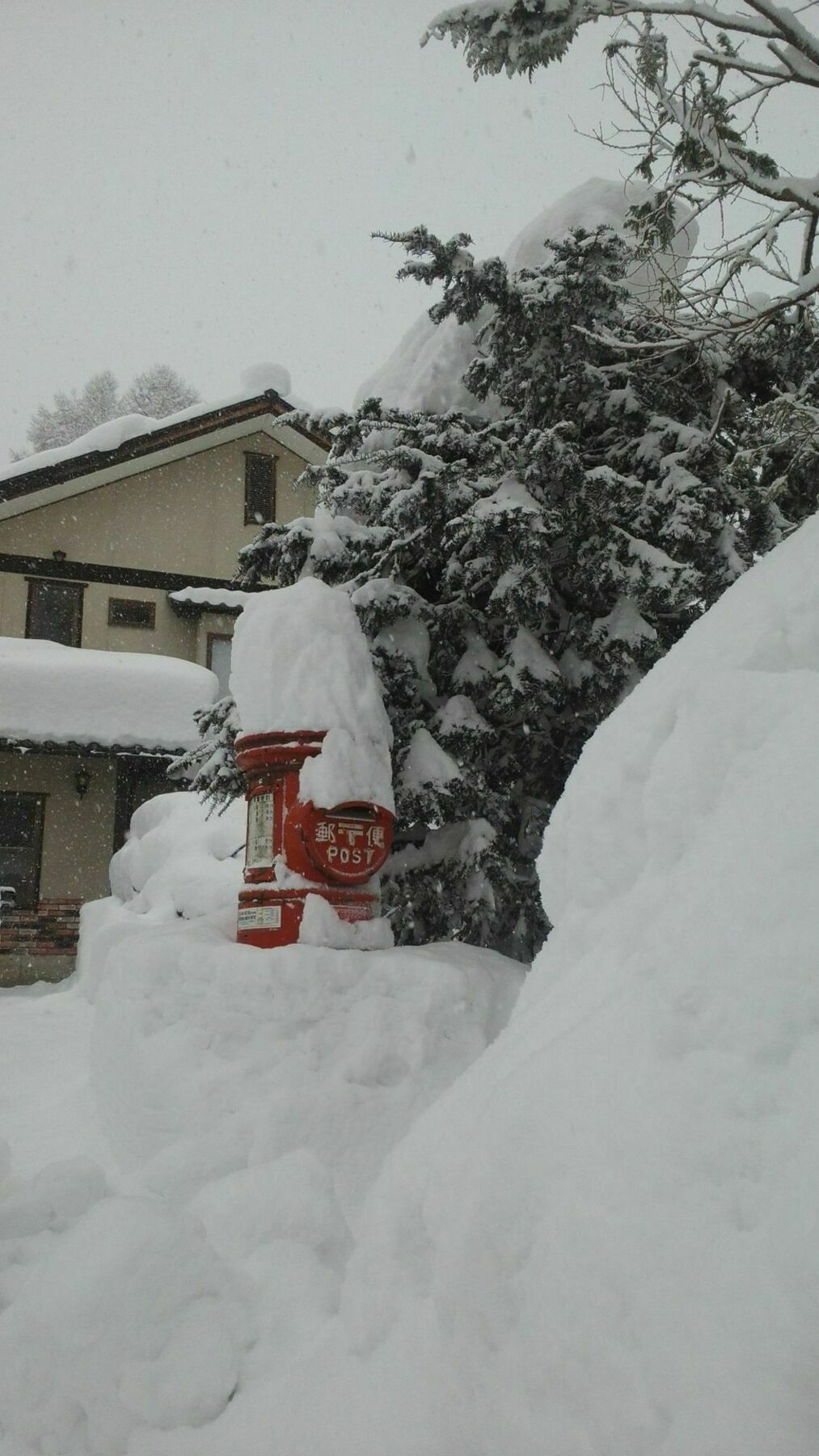 Sakka Sanso Villa Hakuba Eksteriør billede