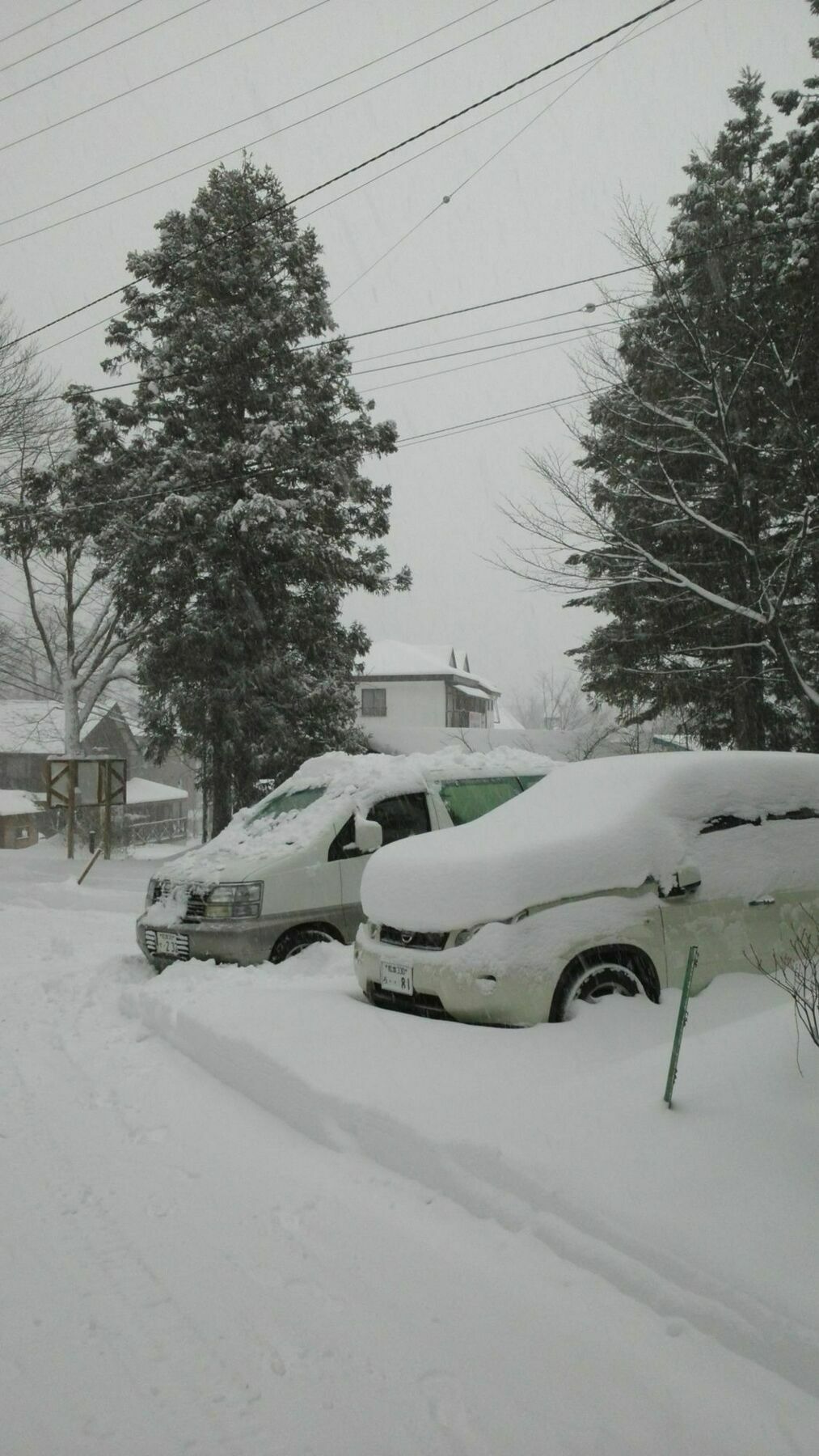 Sakka Sanso Villa Hakuba Eksteriør billede